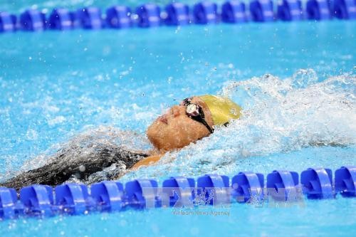 Natation : 39 médailles d’or pour le Vietnam - ảnh 1